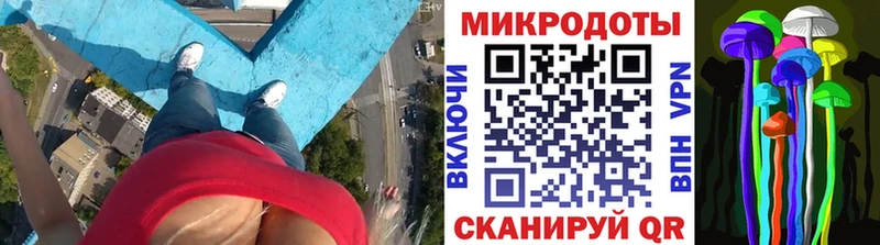 мориарти Telegram Кувшиново Псилоцибиновые грибы мицелий